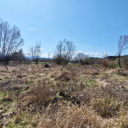 Baugrund für Ihr Wohn-, bzw. Gewerbeprojekt in Timelkam - Bild 2