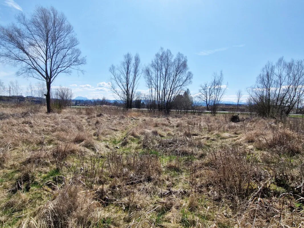 Baugrund für Ihr Wohn-, bzw. Gewerbeprojekt in Timelkam - Bild 1