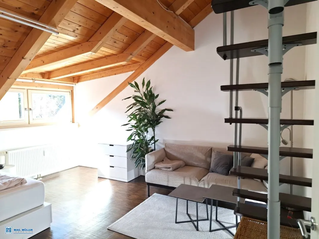 Charmante 2-Zimmer-Loft mit Flair im Dachgeschoss einer Ceconi-Villa - Bild 1