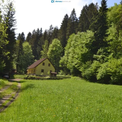 2831 Warth, Idyllisches und ruhig gelegenes Landhaus in der Buckligen Welt - Bild 2