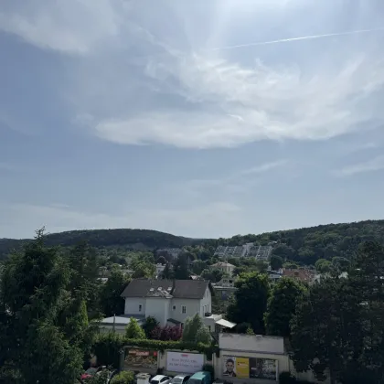 Traumhafte Erstbezugswohnung in Mödling - Bild 3