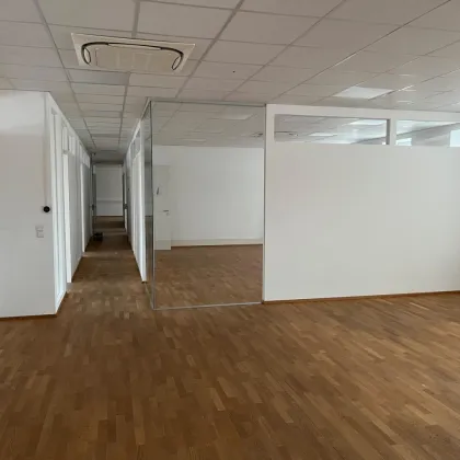 Moderne Büroflächen direkt beim Bahnhof Tullnerfeld - Bild 2