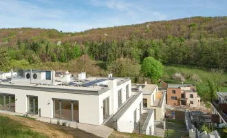 Wohnen, wo andere entspannen: Moderne Eigentumswohnungen in Kaltenleutgeben