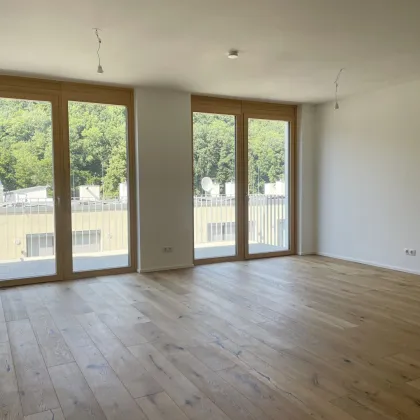 Idyllisches Wohnen im Wienerwald: Moderne Eigentumswohnungen in Kaltenleutgeben - Bild 2