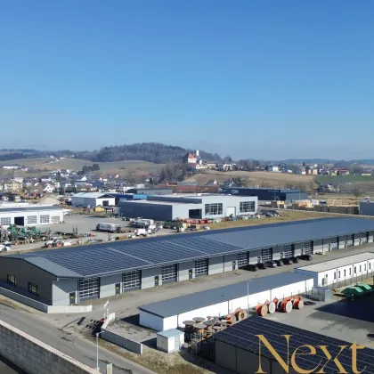 Neuwertige & beheizte Lager- oder Gewerbehalle mit Rolltor in Arbing (Bezirk Perg) zu vermieten! - Bild 3