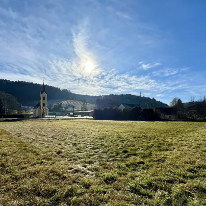Traumhaftes Baugrundstück im Steirischen Vulkanland – Top Lage zwischen Feldbach und Bad Gleichenberg! - Bild 2