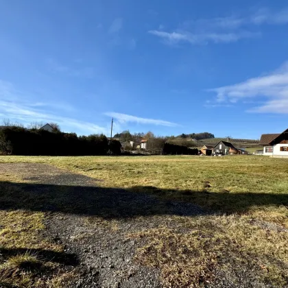 Traumhaftes Baugrundstück im Steirischen Vulkanland – Top Lage zwischen Feldbach und Bad Gleichenberg! - Bild 3