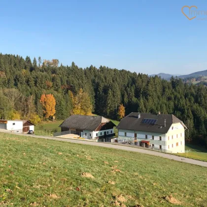 ERFOLGREICH VERMITTELT! Saniertes Bauernhaus mit zweiter Wohneinheit, großem Stadel, Scheune, Garagen, eigener Wasserquelle – und ideal für Pferdeliebhaber! - Bild 3