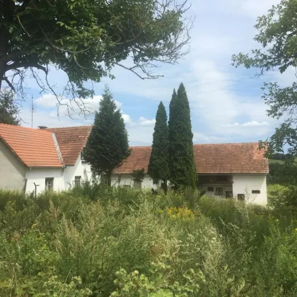 TOP GELEGENHEIT HAUS IN BESTLAGE IN SONNIGER ERHÖTEN  RUHELAGE  IN DER THERMEN REGION! - Bild 2