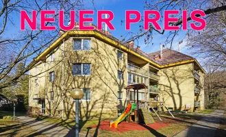Renovierungsbedürftige Familienwohnung an der Wiener Stadtgrenze - VOR Kernzone