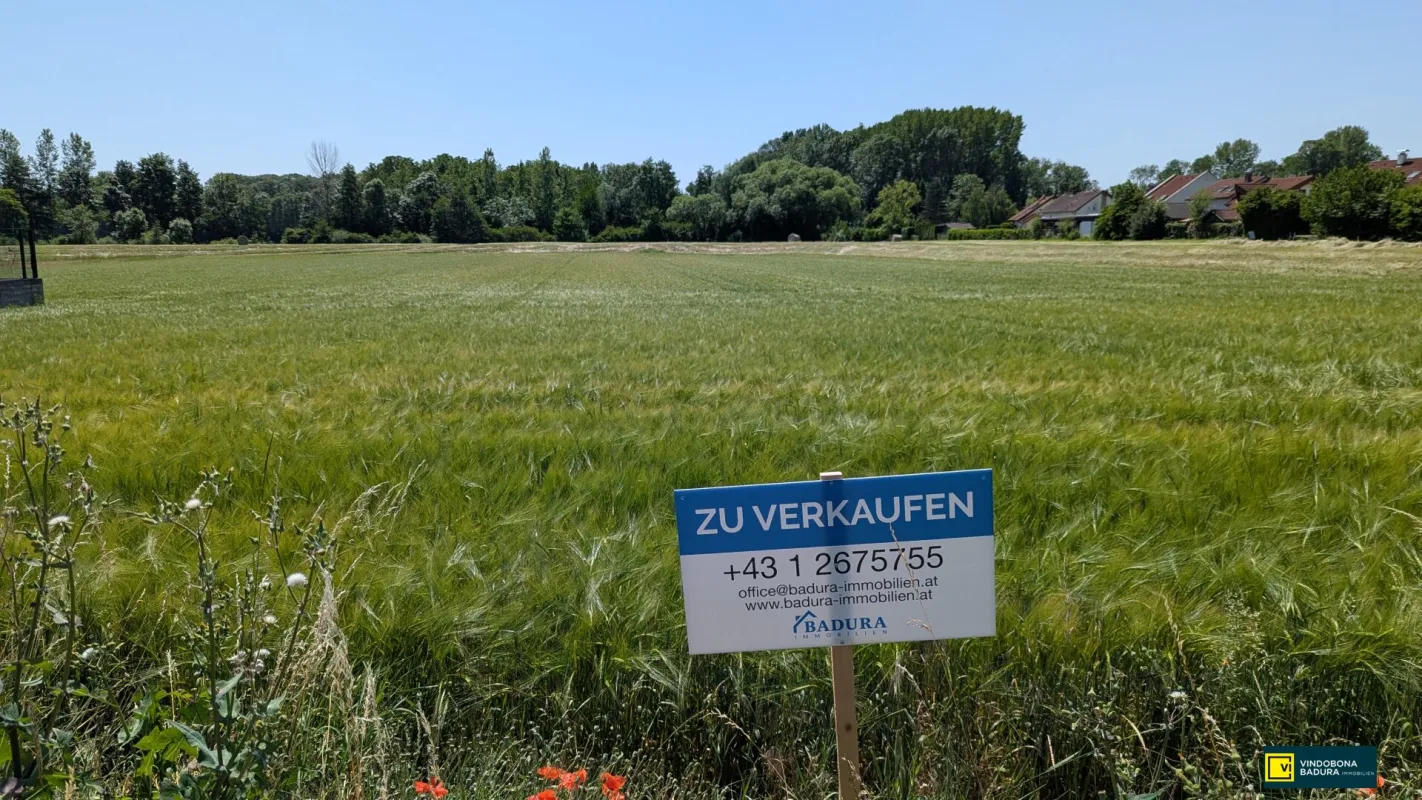 Großes, attraktives Baugrundstück in sonniger, ruhiger Lage – Ideal für Ihr Projekt! - Bild 1