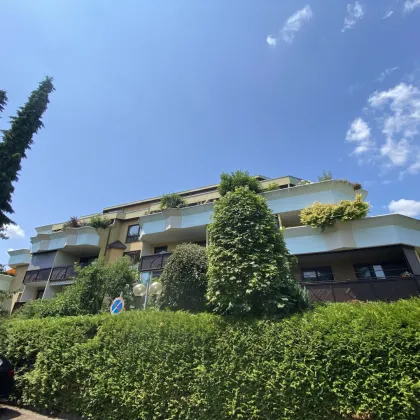 K3 - NEU - GARTENWOHNUNG - ANLAGEOBJEKT - Bild 2