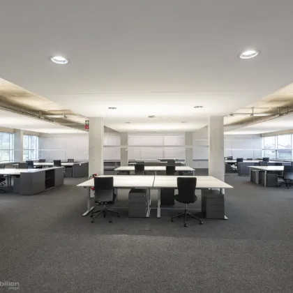 Business im Loftstyle – Büro mieten in Salzburg Süd - Bild 2