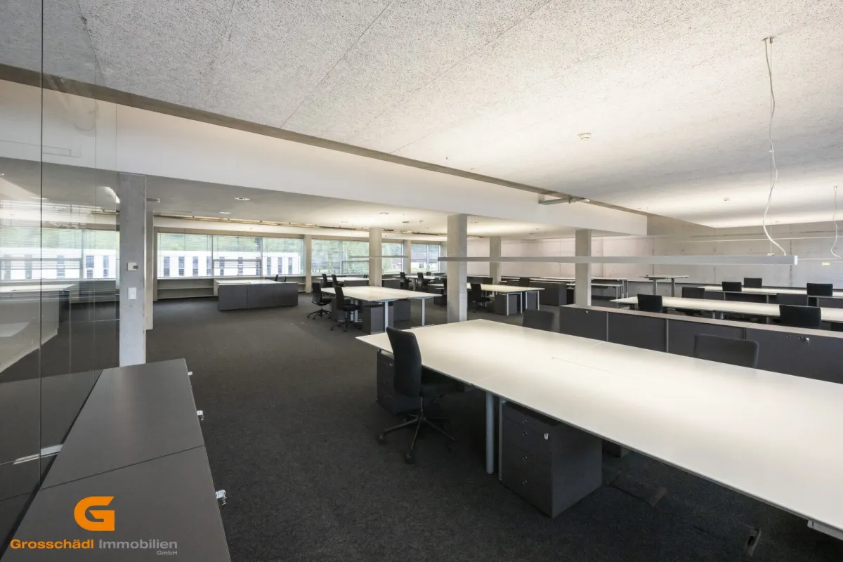 Business im Loftstyle – Büro mieten in Salzburg Süd - Bild 1