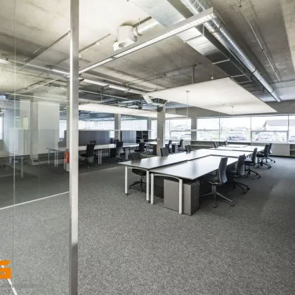 Business im Loftstyle – Büro mieten in Salzburg Süd - Bild 3