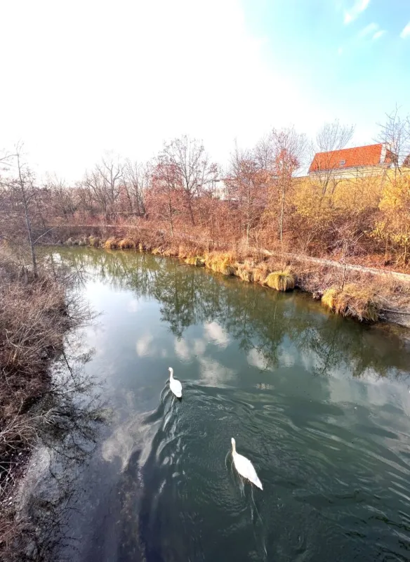 Natur und Erholung in unmittelbarer Nähe! 4-Zimmer-Wohnung mit Loggia - Bild 1