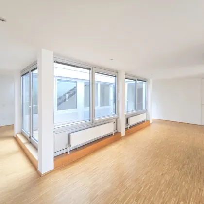 Top-Bürofläche - 215m² in zentraler Lage des ersten Bezirks - mit 360° Terrassenfläche - unbefristet! - Bild 3