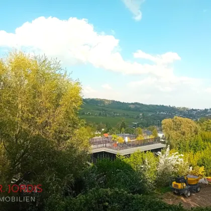 Villa mit 360° Blick auf Neustift und die Weinberge - Bild 3