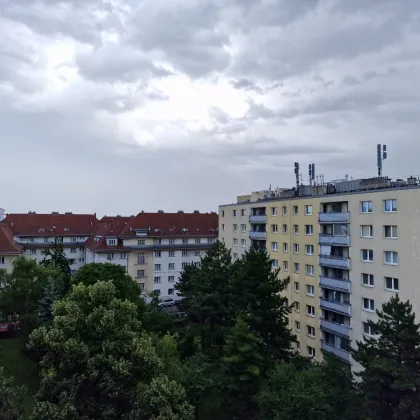 Wunderbare 3 Zimmer Wohnung samt Loggia - Bild 3