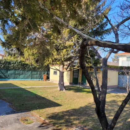 Traumhaftes Baugrundstück in Perchtoldsdorf - Bild 2