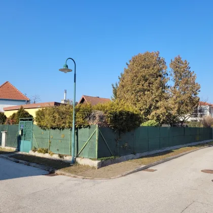 Traumhaftes Baugrundstück in Perchtoldsdorf - Bild 3