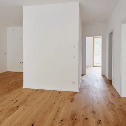 Sichere Investition im Grünen: Vorsorgewohnungen in Kaltenleutgeben mit hoher Nachfrage - Bild 2