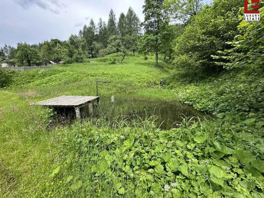 Südkärnten: Authentisches Gut im Naturparadies - Bild 1