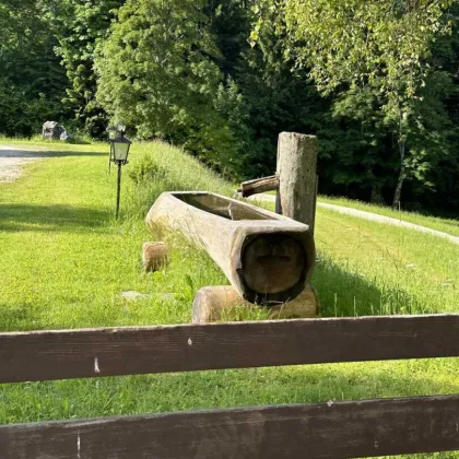 Südkärnten: Authentisches Gut im Naturparadies - Bild 3