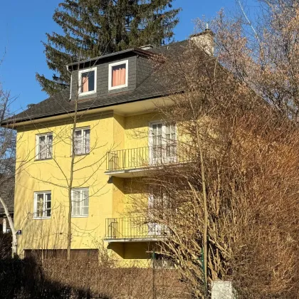 Einfamilienhaus am Grünland mit großem Potenzial - Bild 3