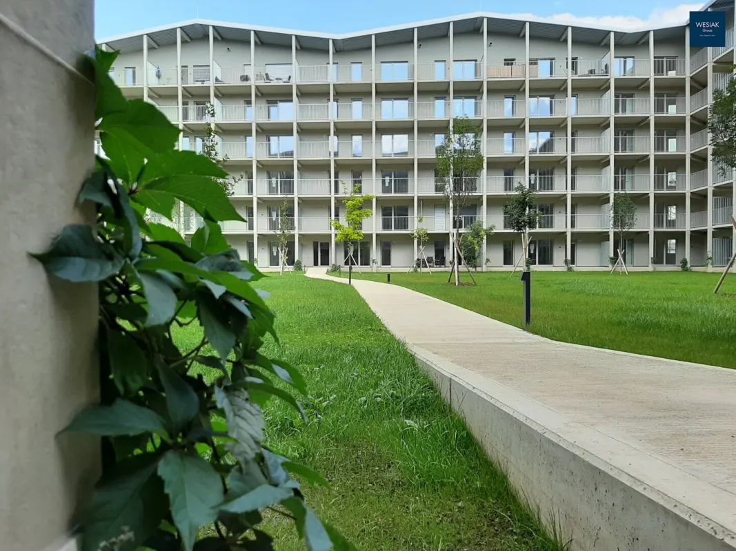 Charmante 2-Zimmerwohnung mit moderner Küche und Balkon - Top 638 - Bild 1