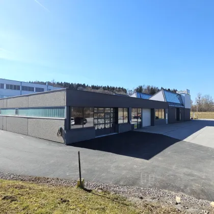 444m² große Halle, optional mit Küche, WC und Parkplätzen, nur 2 Autominuten bis zur Autobahn in Gleisdorf bei Graz - Bild 2