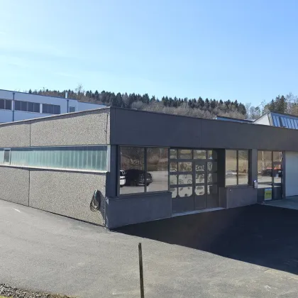 444m² große Halle, optional mit Küche, WC und Parkplätzen, nur 2 Autominuten bis zur Autobahn in Gleisdorf bei Graz - Bild 3