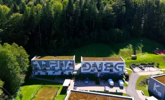 FERNBLICK: Geräumige 4-Zimmer-Wohnung mit mehreren Balkonen, Panoramablick und wunderschönem Allgemeingarten