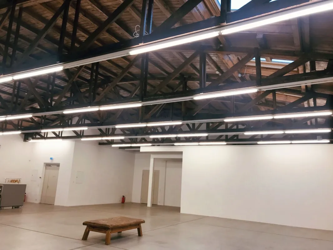 Atelier, Schauraum, Ausstellungsfläche oder Büro - AUSSERGEWÖHNLICHES LOFT mit Terrasse. - Bild 1