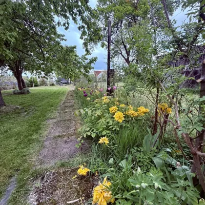 gemütliches, barrierefreies Häuschen inmitten von Gebharts bei Schrems! - Bild 3