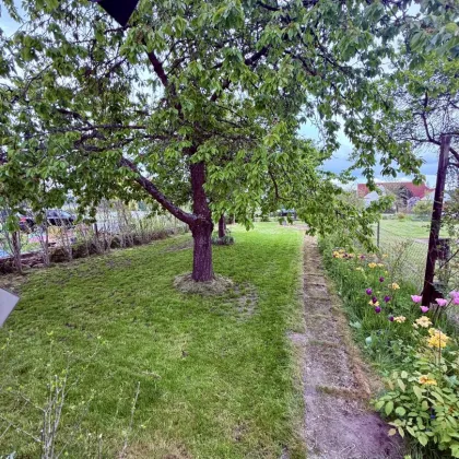 gemütliches, barrierefreies Häuschen inmitten von Gebharts bei Schrems! - Bild 2