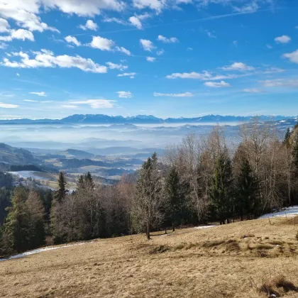 Exklusives Naturchalet auf der Koralpe – Ihr perfekter Zweitwohnsitz in Kärnten - Bild 3