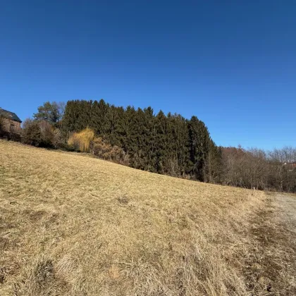Baugrundstück in idyllischer Lage nahe Graz - Bild 2