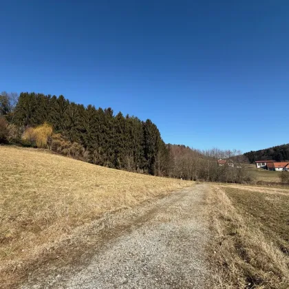 Baugrundstück in idyllischer Lage nahe Graz - Bild 3