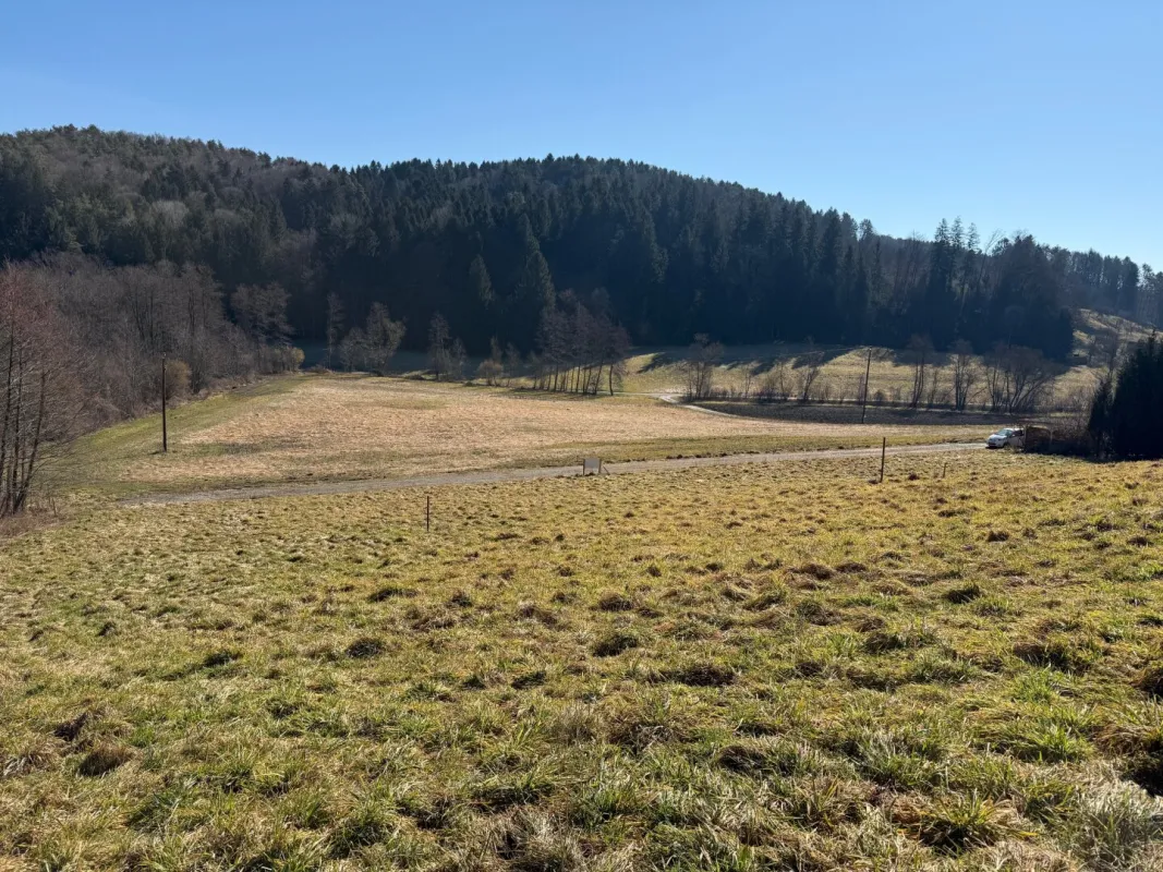 Baugrundstück in idyllischer Lage nahe Graz - Bild 1