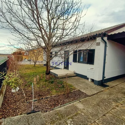 Best Preis!  Charmantes Seehaus am Neufelder See mit vielen Extras - Bild 2