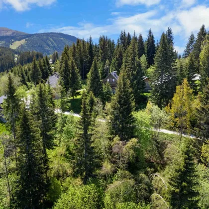 Zweitwohnsitz-Grundstück auf der Koralpe - Bild 2