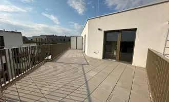 Erstbezug 2-Zimmer-Dachgeschosswohnung mit großzügiger Dachterrasse