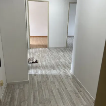 3-Zimmerwohnung in Hörsching - Bild 3