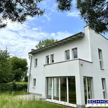 Büro/Praxis/Kompetenzcenter am Stadtrand von Wels - Bild 2