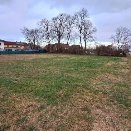 GARTEN in Ruhelage in der Gemeinde Zwentendorf zu pachten - provisionsfrei - Bild 3
