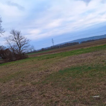 GARTEN in Ruhelage in der Gemeinde Zwentendorf zu pachten - provisionsfrei - Bild 2