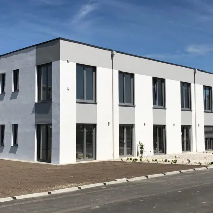 Modernes Büro-Reihenhaus mit 4 getrennten Räumen + Empfangsbereich, Küche und Parkmöglichkeiten! - Bild 3