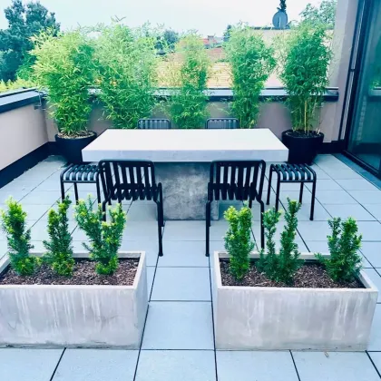 Wohnqualität neu gedacht – Penthouse-Charakter in ruhiger Linzer Höhenlage - Bild 3