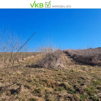 Exklusives Weinbaugrundstück, Südhang in sonniger Lage! - Bild 2